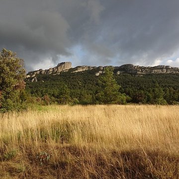 Ruines du château de Peyrepertuse