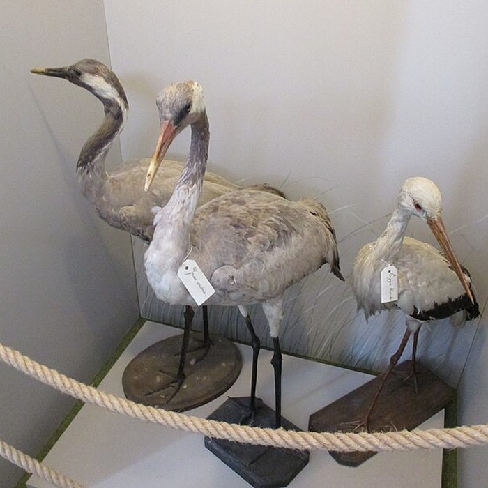 Photo de Château de Pierre-de-Bresse