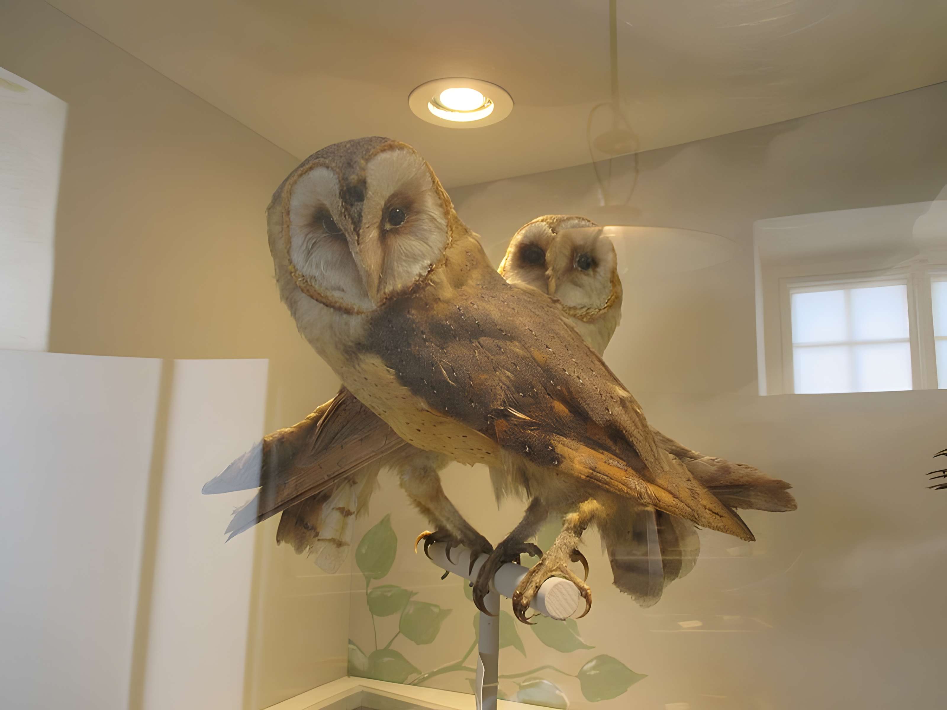 Château de Pierre-de-Bresse