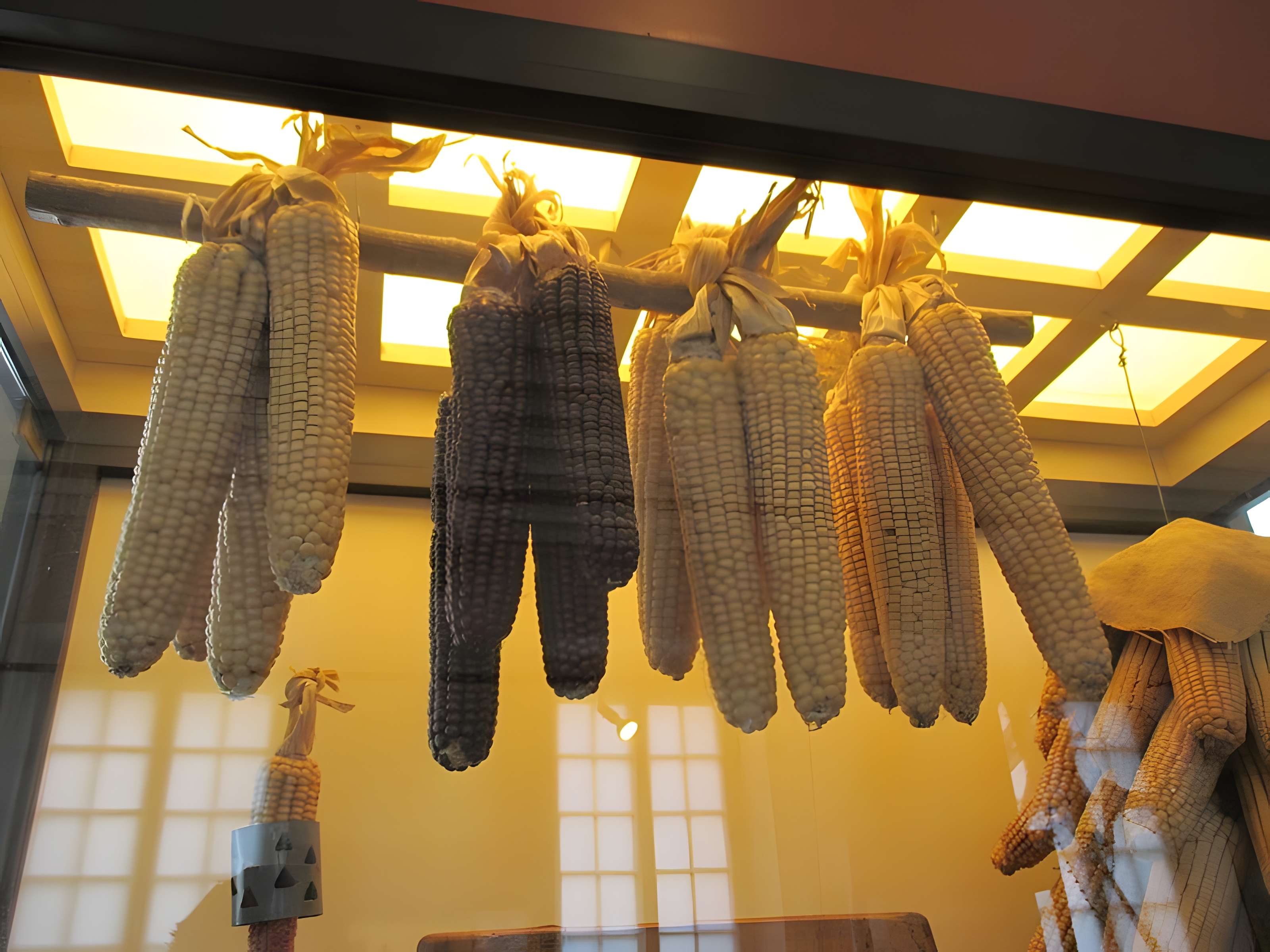 Château de Pierre-de-Bresse