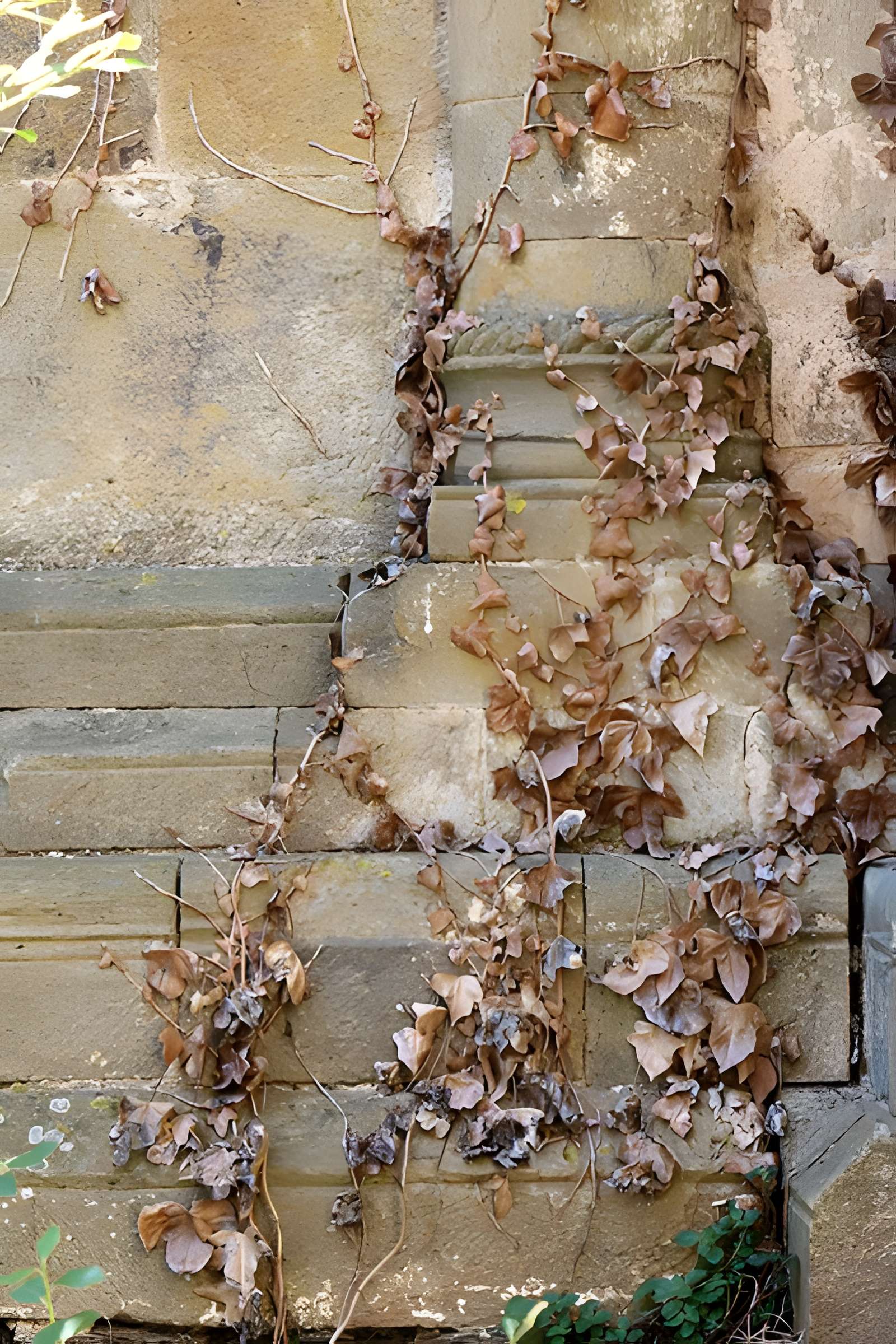 Eglise paroissiale Saint-Pierre et Saint-Félix