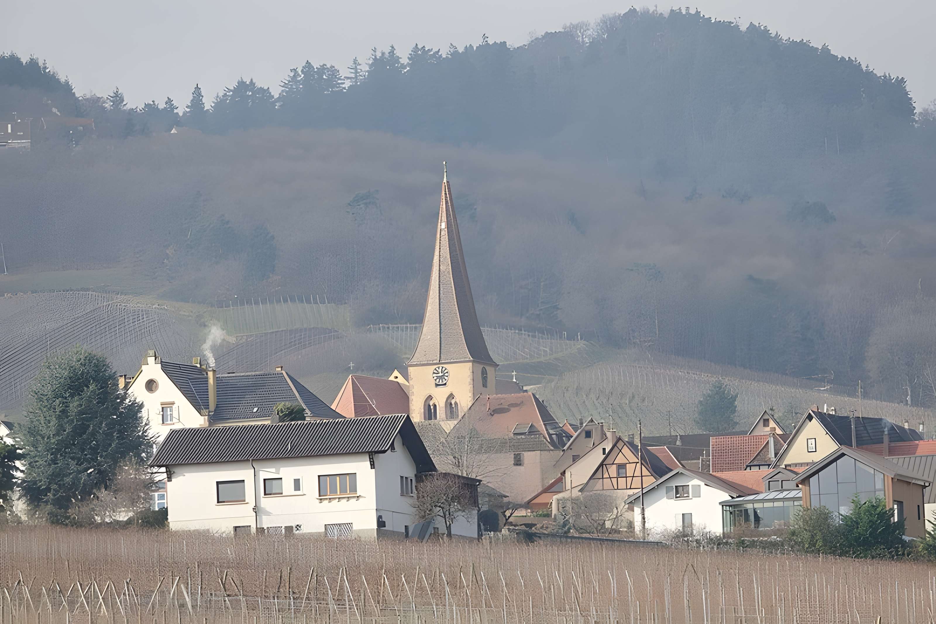 Église Saint-Gall de Niedermorschwihr