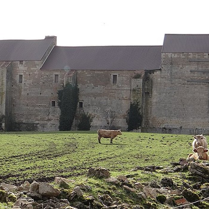 Photo de Château de Pisy
