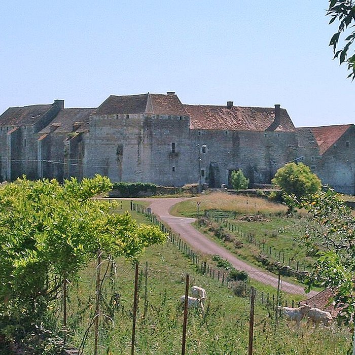 Photo de Château de Pisy