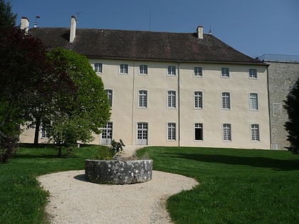 Photo de Château de Pont-d'Ain