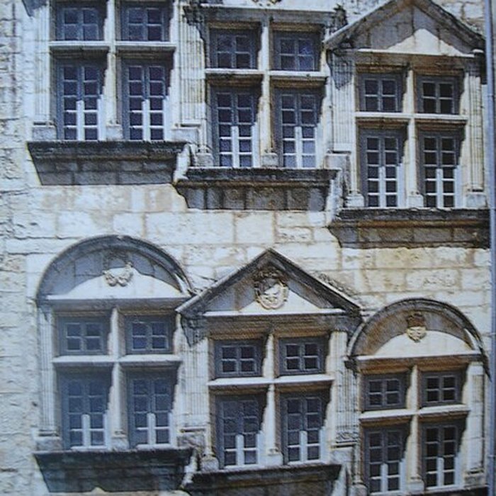 Photo de Château de Pont-dAin