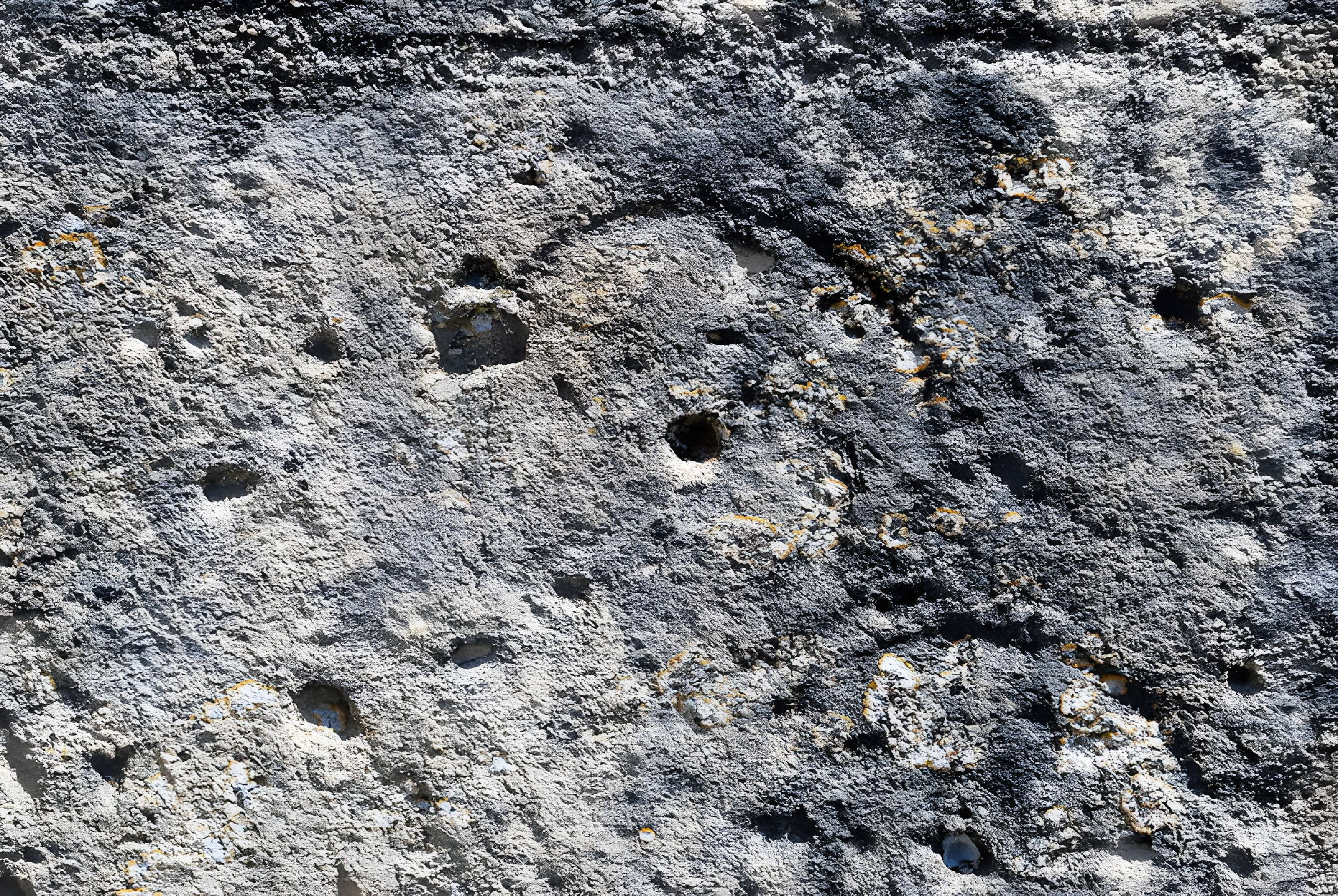 Église Saint-Gervais-Saint-Protais de Faleyras