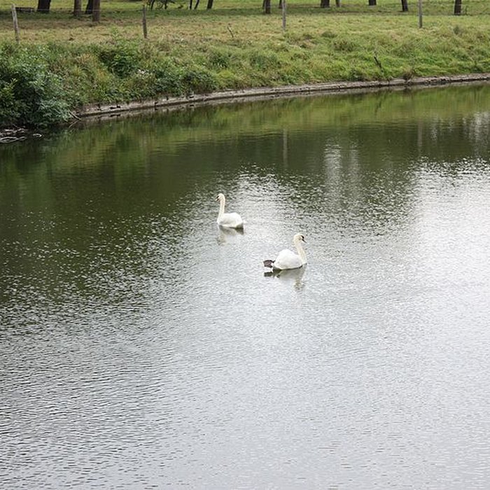 Photo de Château de Potelle 