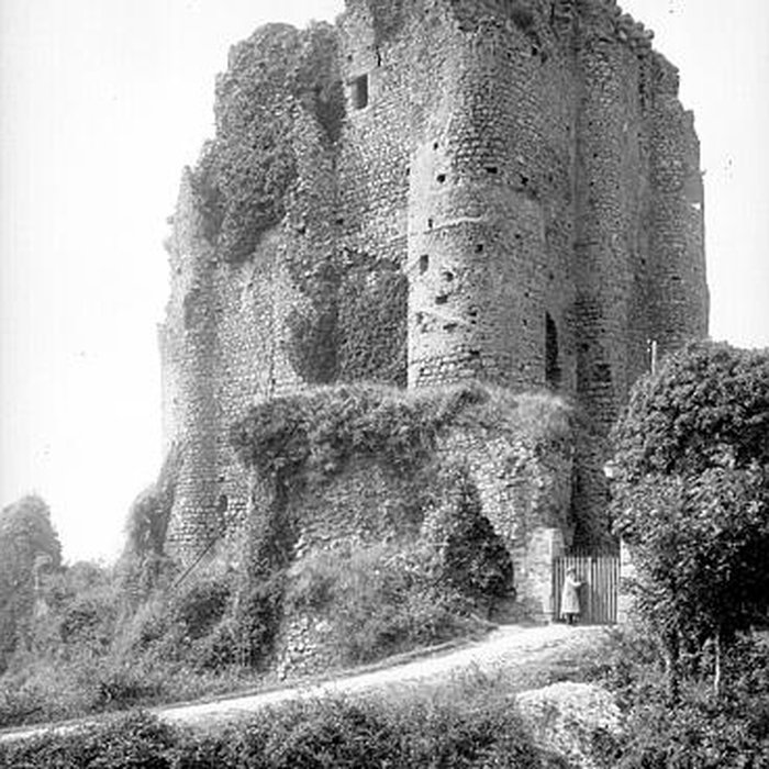 Photo de Château de Pouzauges