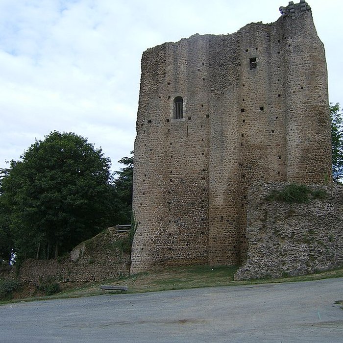 Photo de Château de Pouzauges