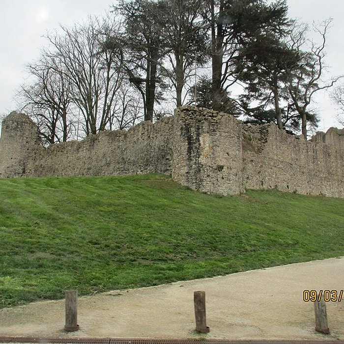Photo de Château de Pouzauges