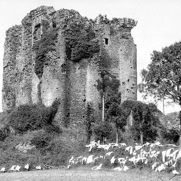 Château de Pouzauges
