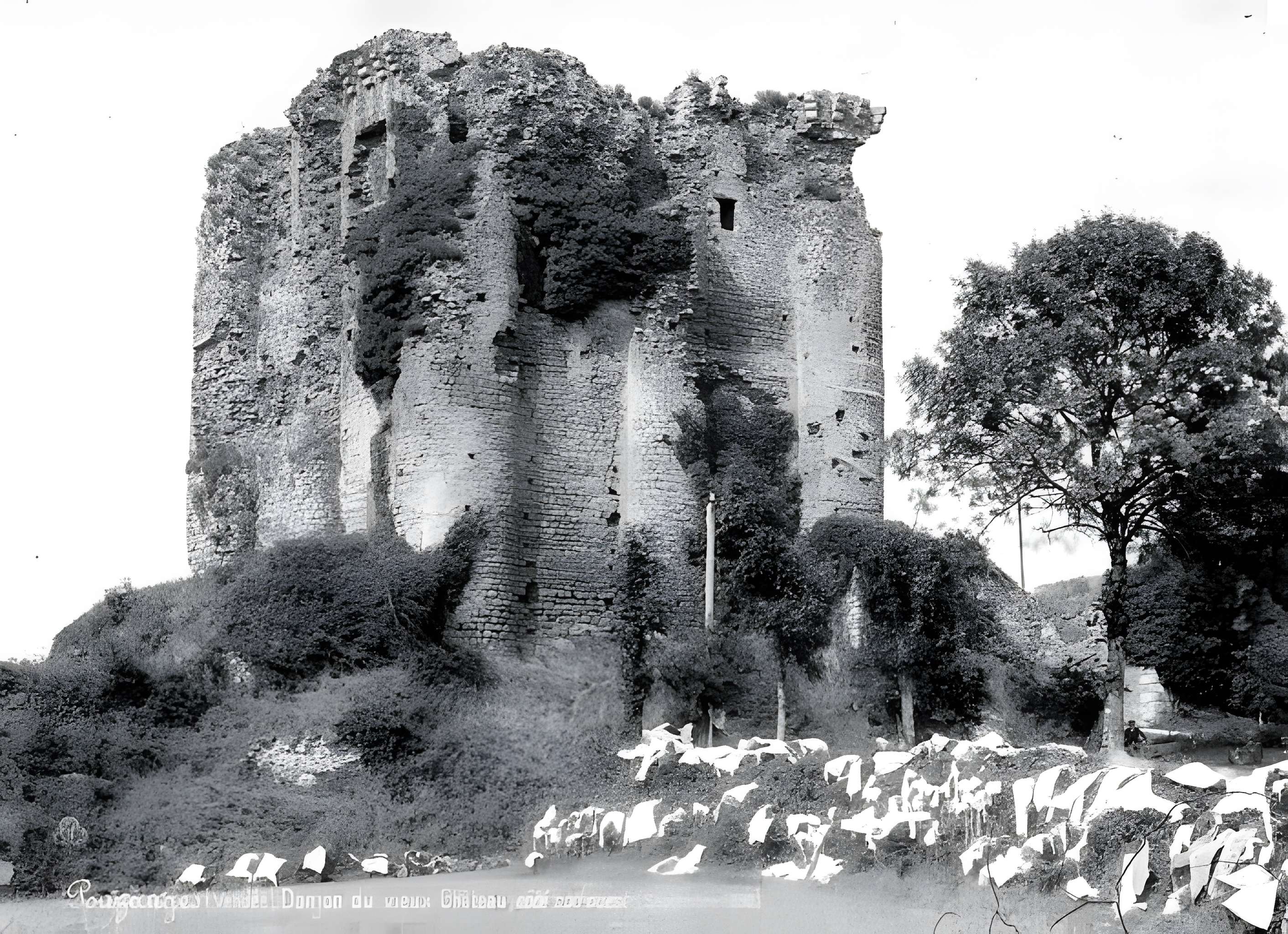 Château de Pouzauges