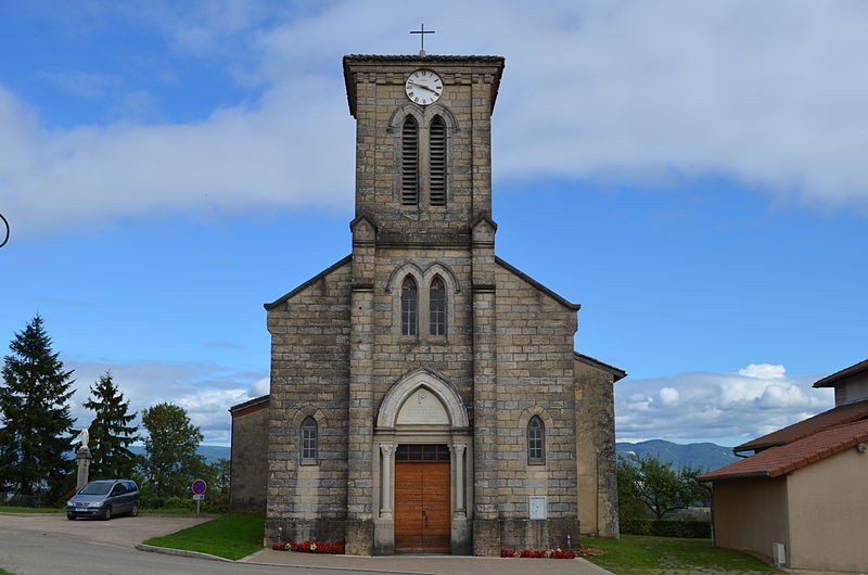 Photo de Église Saint-Irénée de Châtillon-la-Palud
