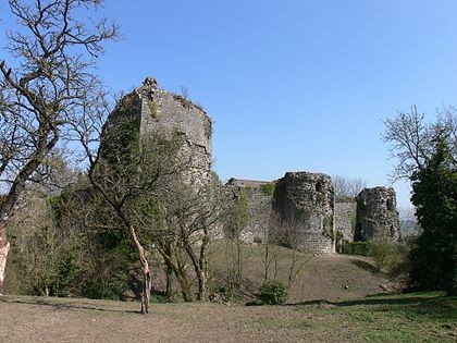Photo de Château de Prény