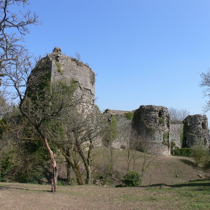Photo de Château de Prény