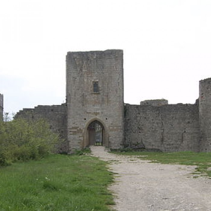 Photo de Château de Puivert