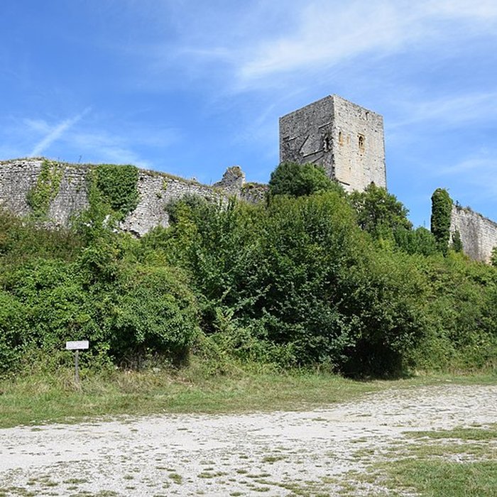 Photo de Château de Puivert