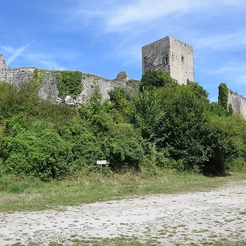 Château de Puivert