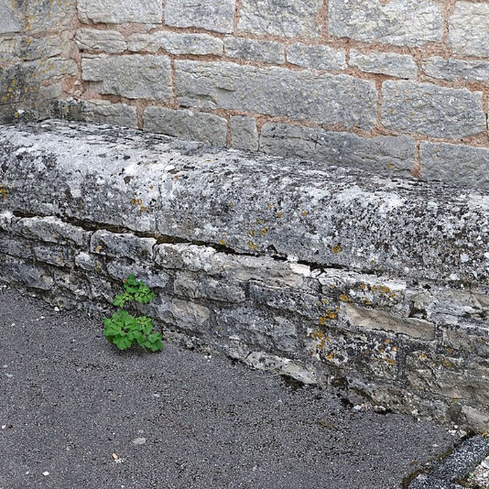 Photo de Église Saint-Jean-Baptiste de Fleurey-sur-Ouche