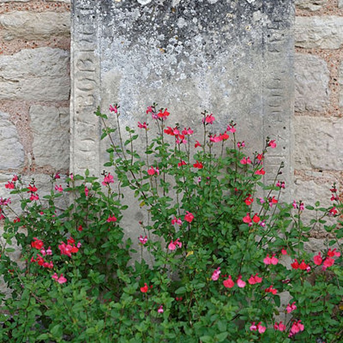 Photo de Église Saint-Jean-Baptiste de Fleurey-sur-Ouche