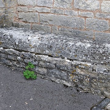 Église Saint-Jean-Baptiste de Fleurey-sur-Ouche