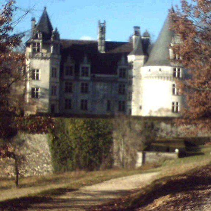 Photo de Château de Puyguilhem à Villars