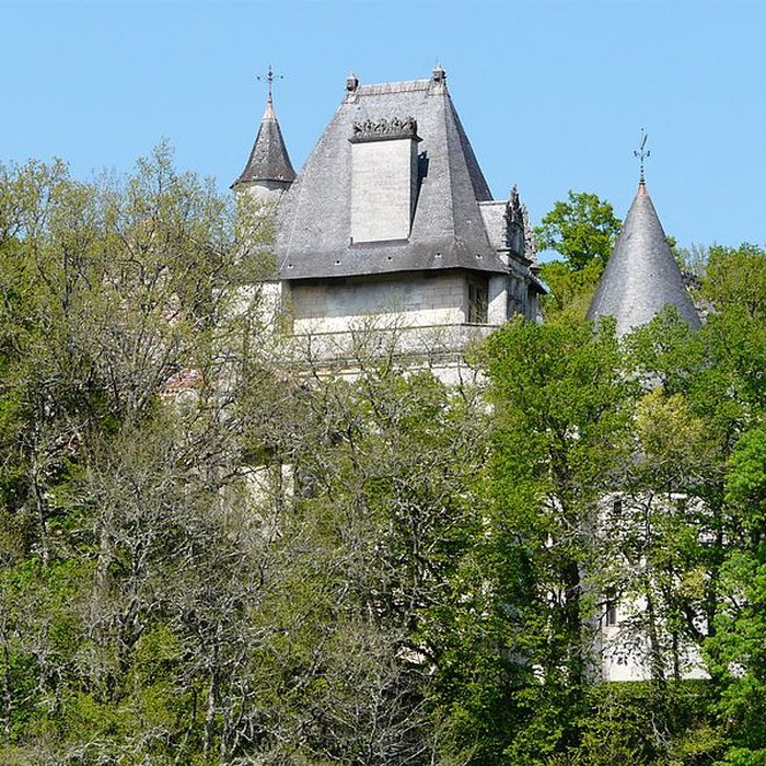 Photo de Château de Puyguilhem à Villars