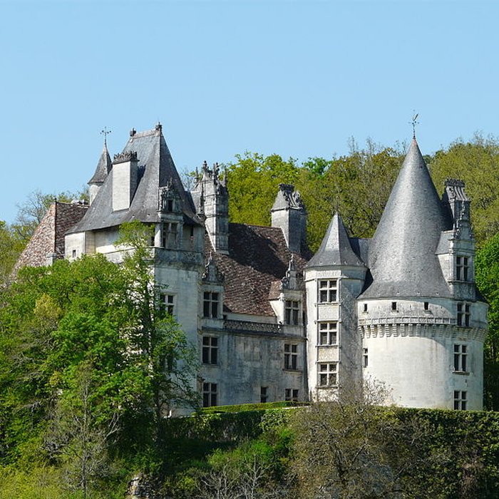 Photo de Château de Puyguilhem à Villars