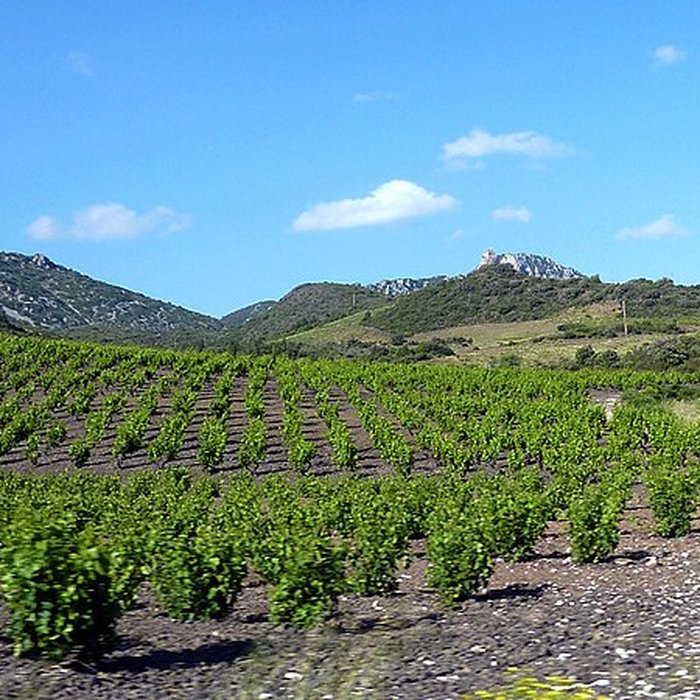 Photo de Château de Quéribus
