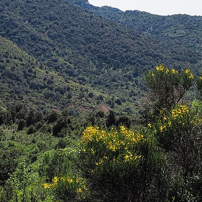 Photo de Château de Quéribus