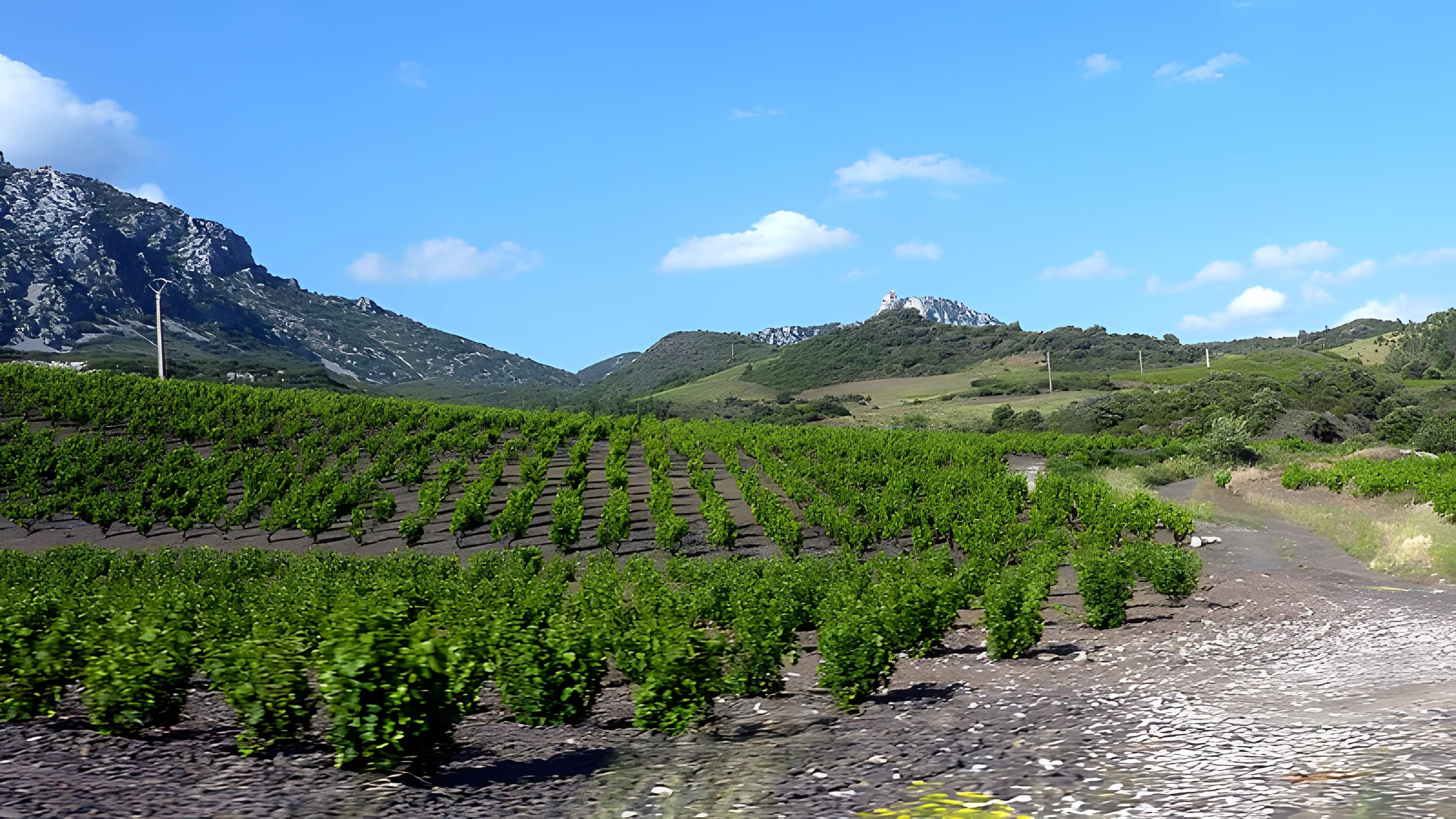 Château de Quéribus