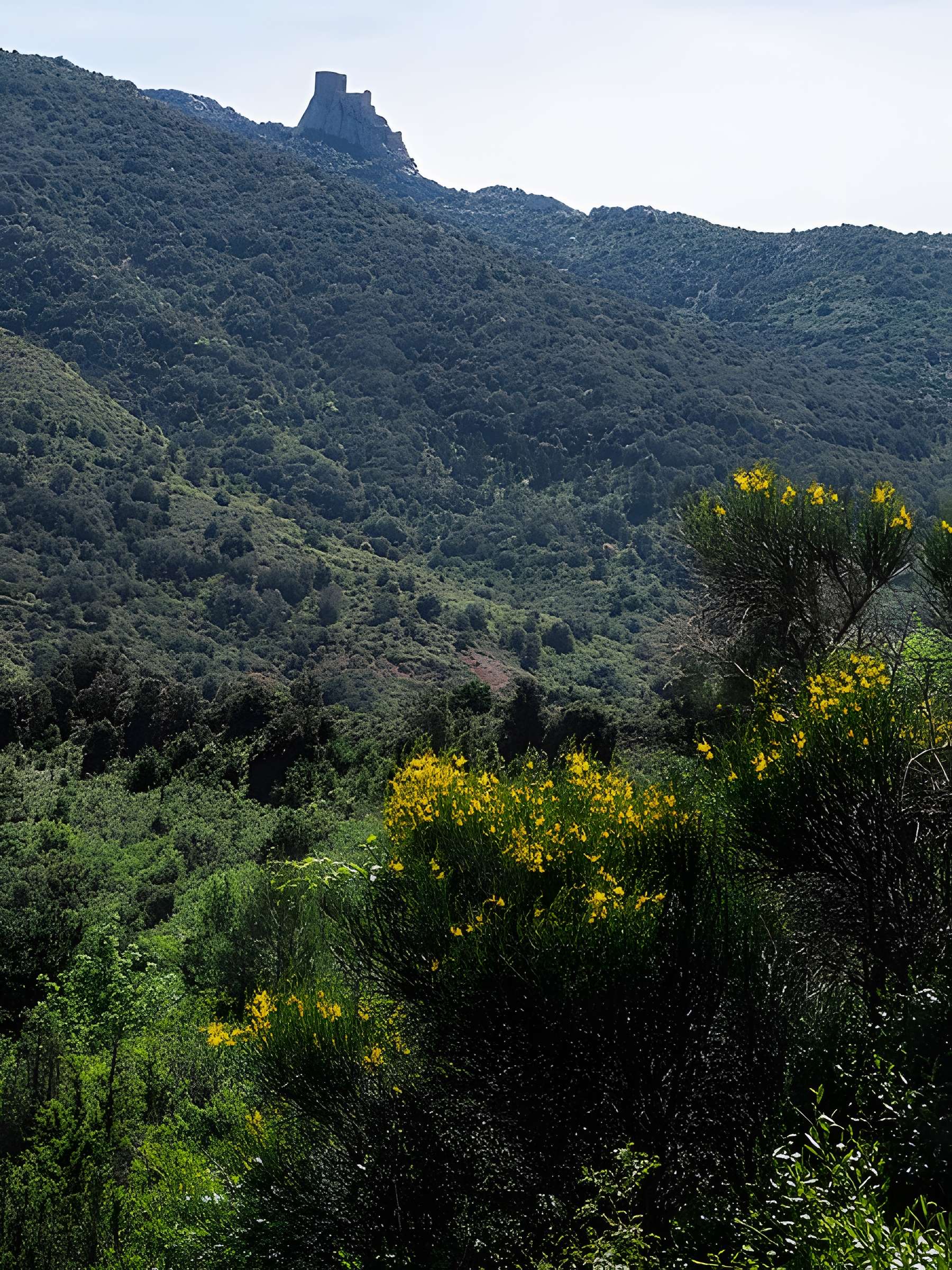 Château de Quéribus