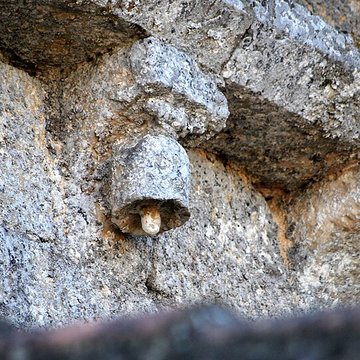 Église Saint-Jean-Baptiste de Monprimblanc