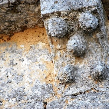 Église Saint-Jean-Baptiste de Monprimblanc