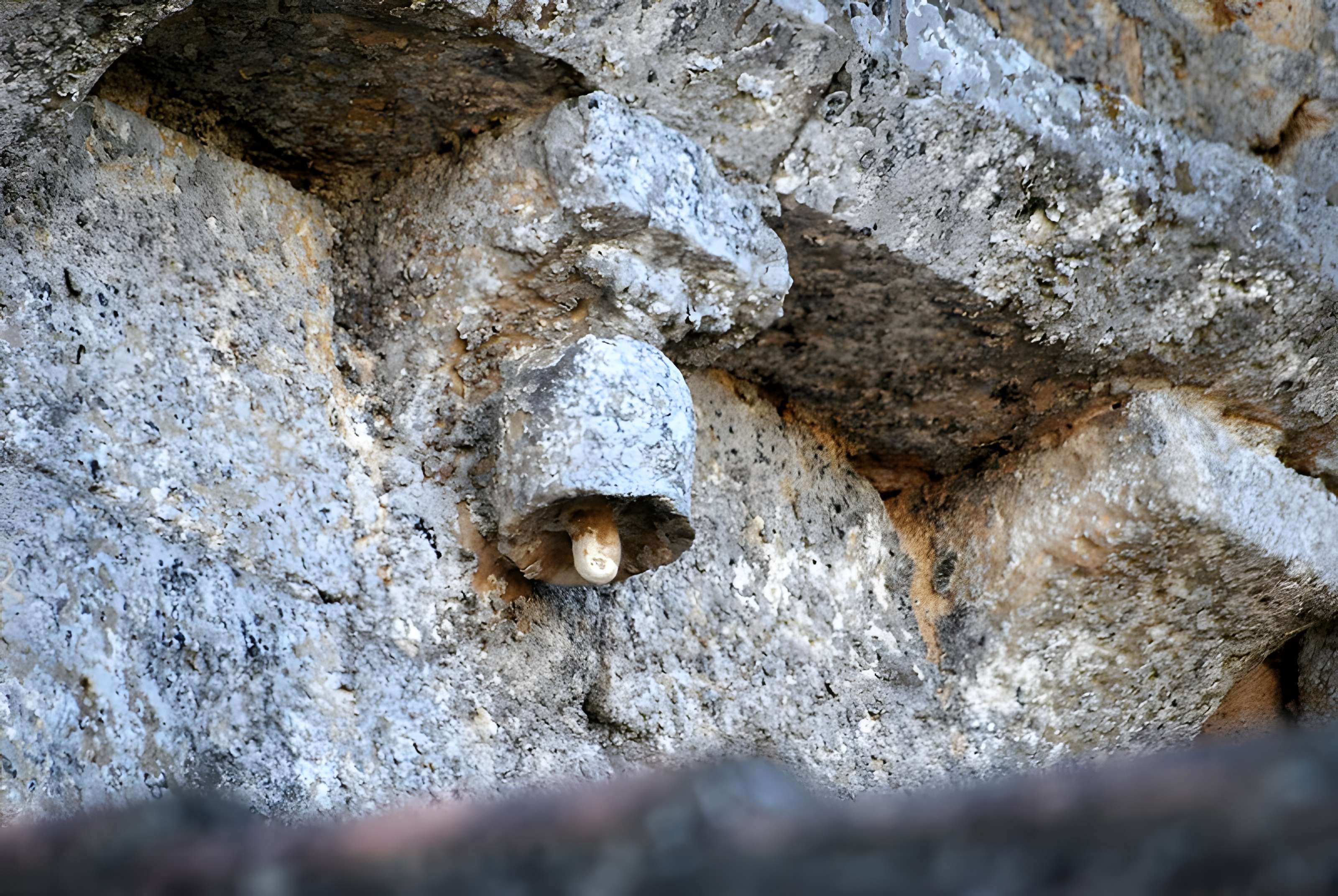 Église Saint-Jean-Baptiste de Monprimblanc