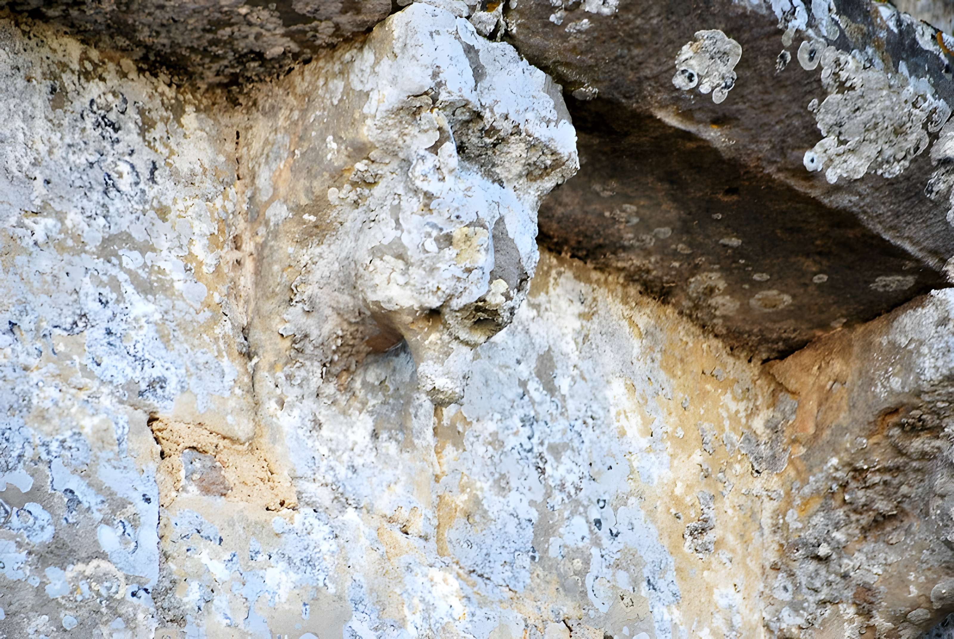Église Saint-Jean-Baptiste de Monprimblanc