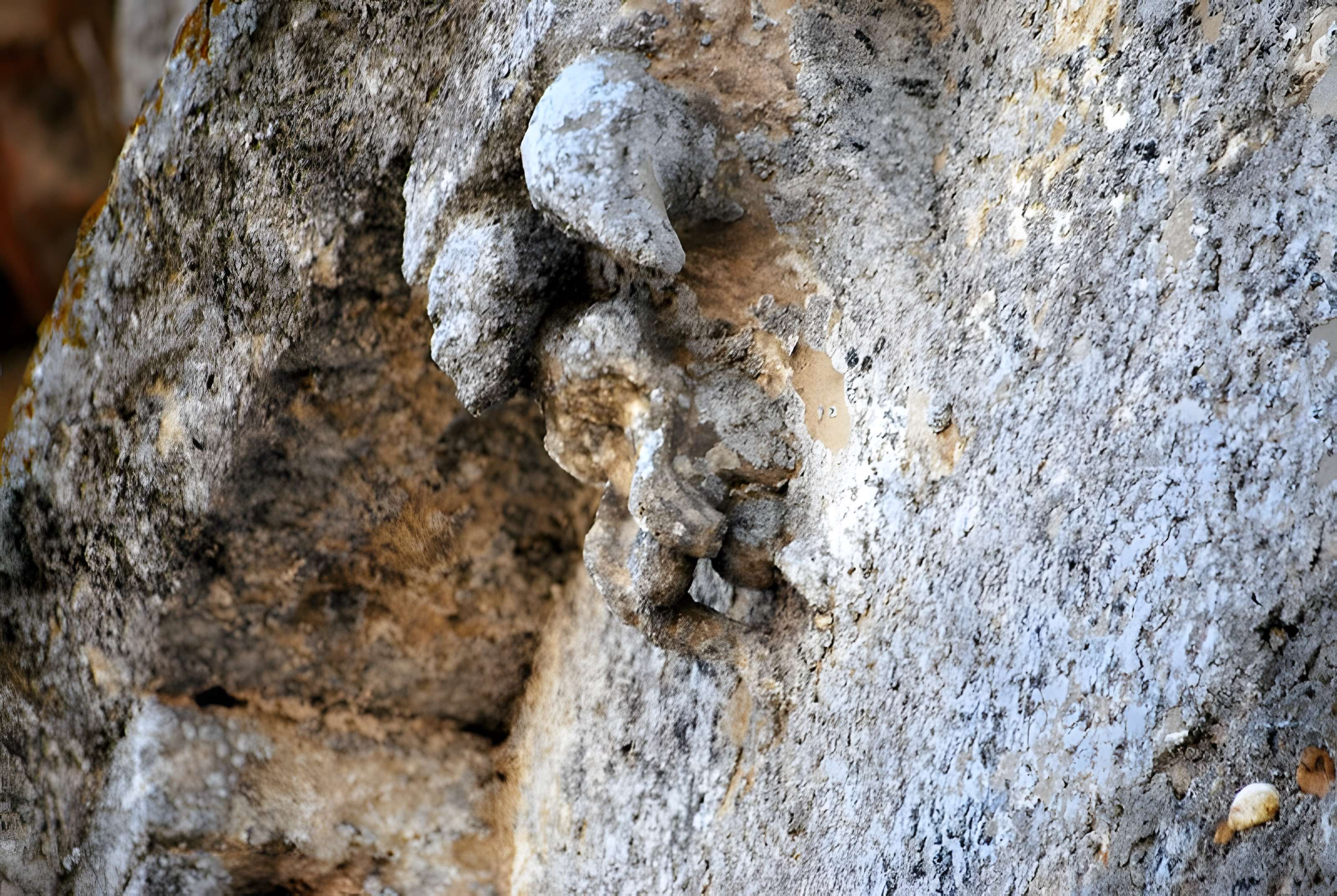 Église Saint-Jean-Baptiste de Monprimblanc