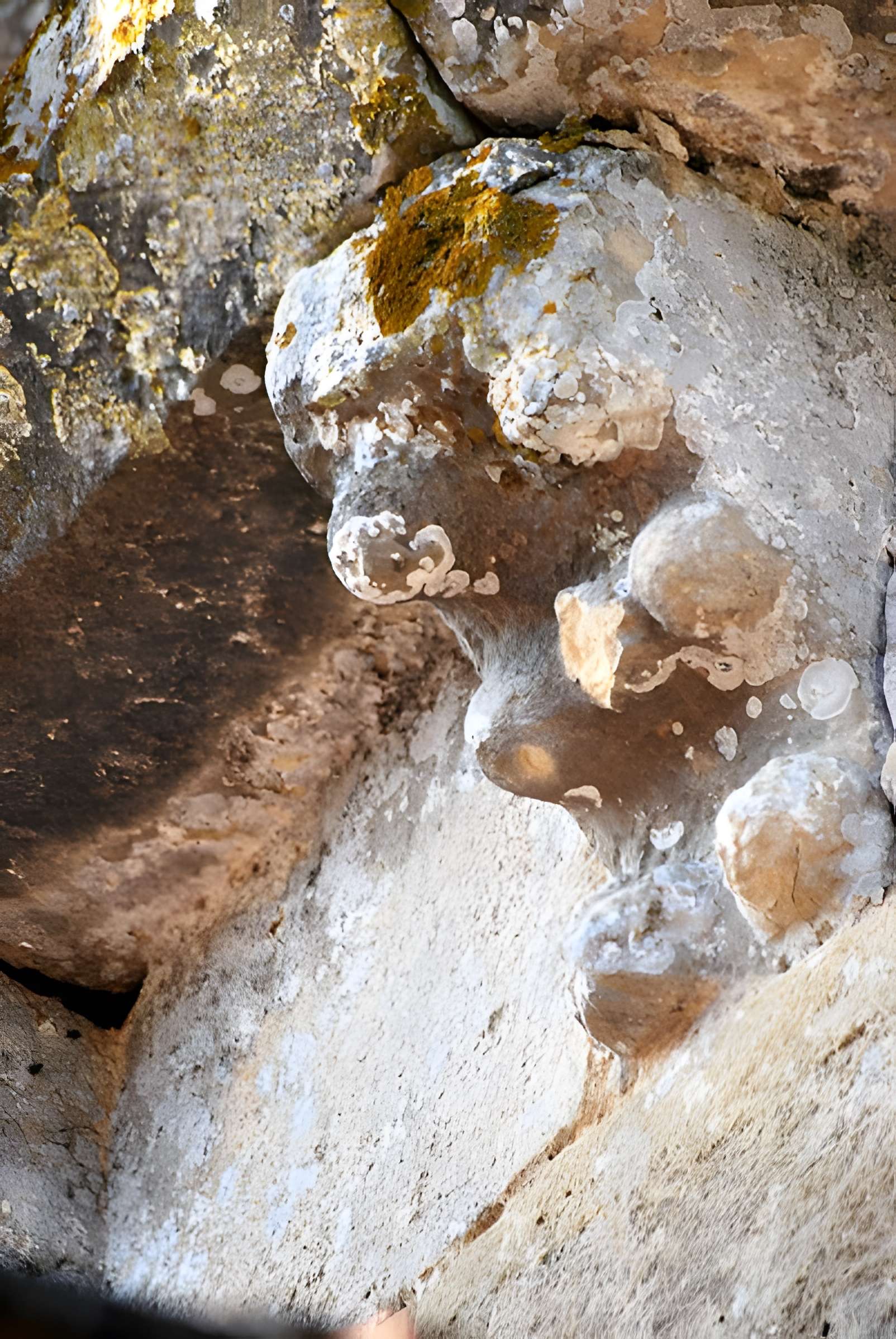 Église Saint-Jean-Baptiste de Monprimblanc