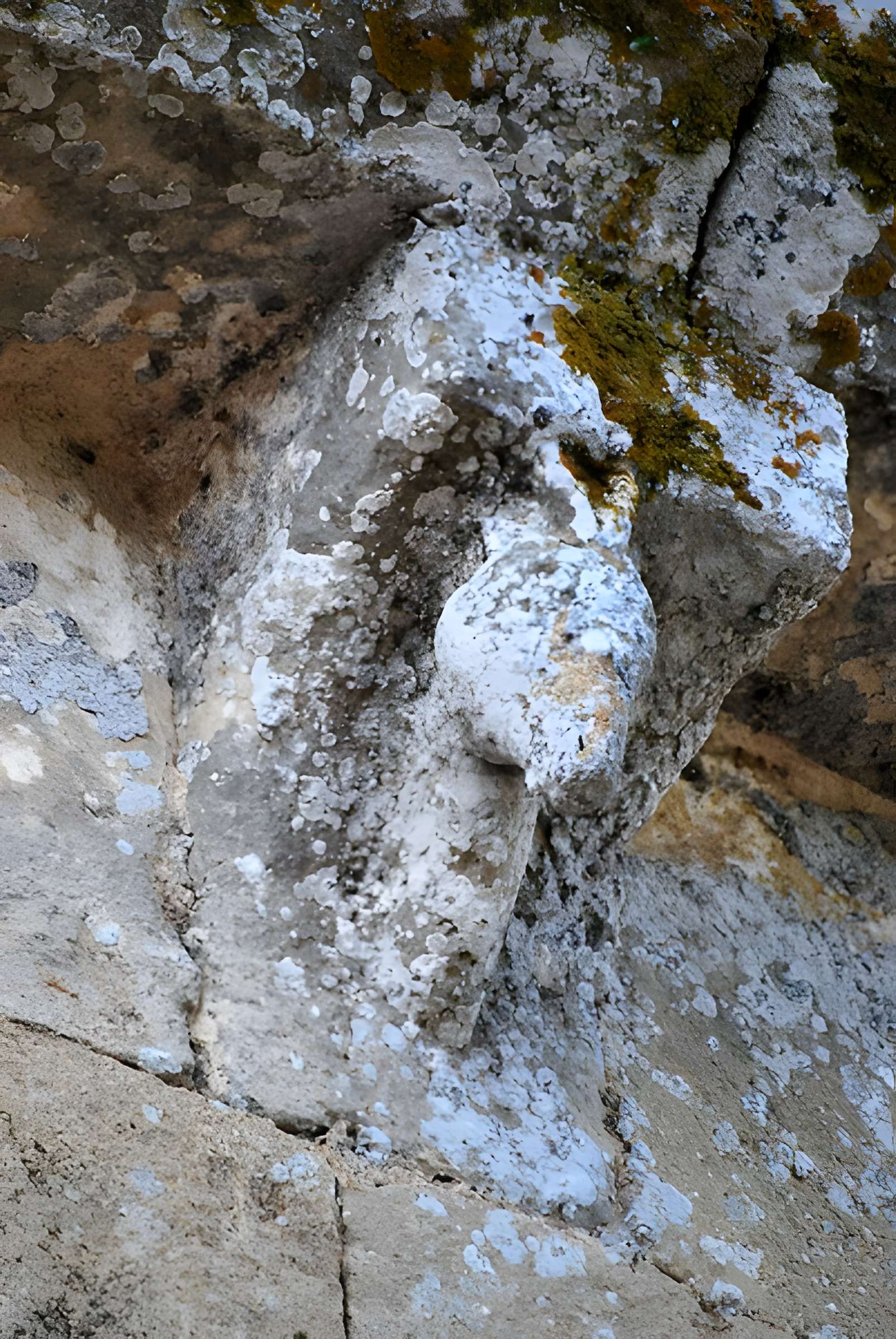 Église Saint-Jean-Baptiste de Monprimblanc