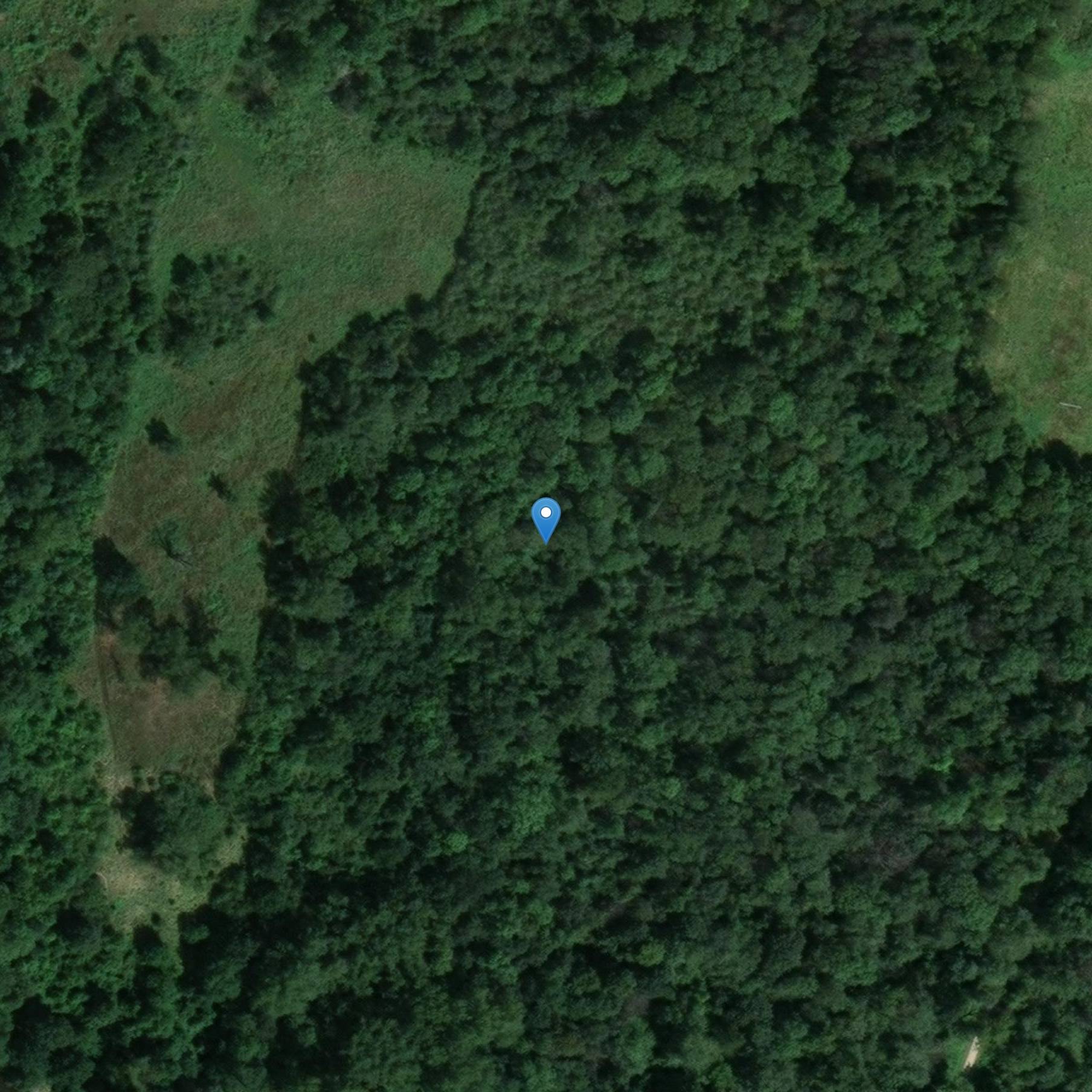 Photo de Chiesa di Sant'Antonio de Dallet