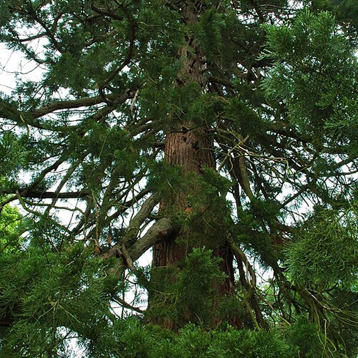 Photo de Château de Rambures