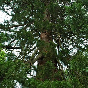 Château de Rambures