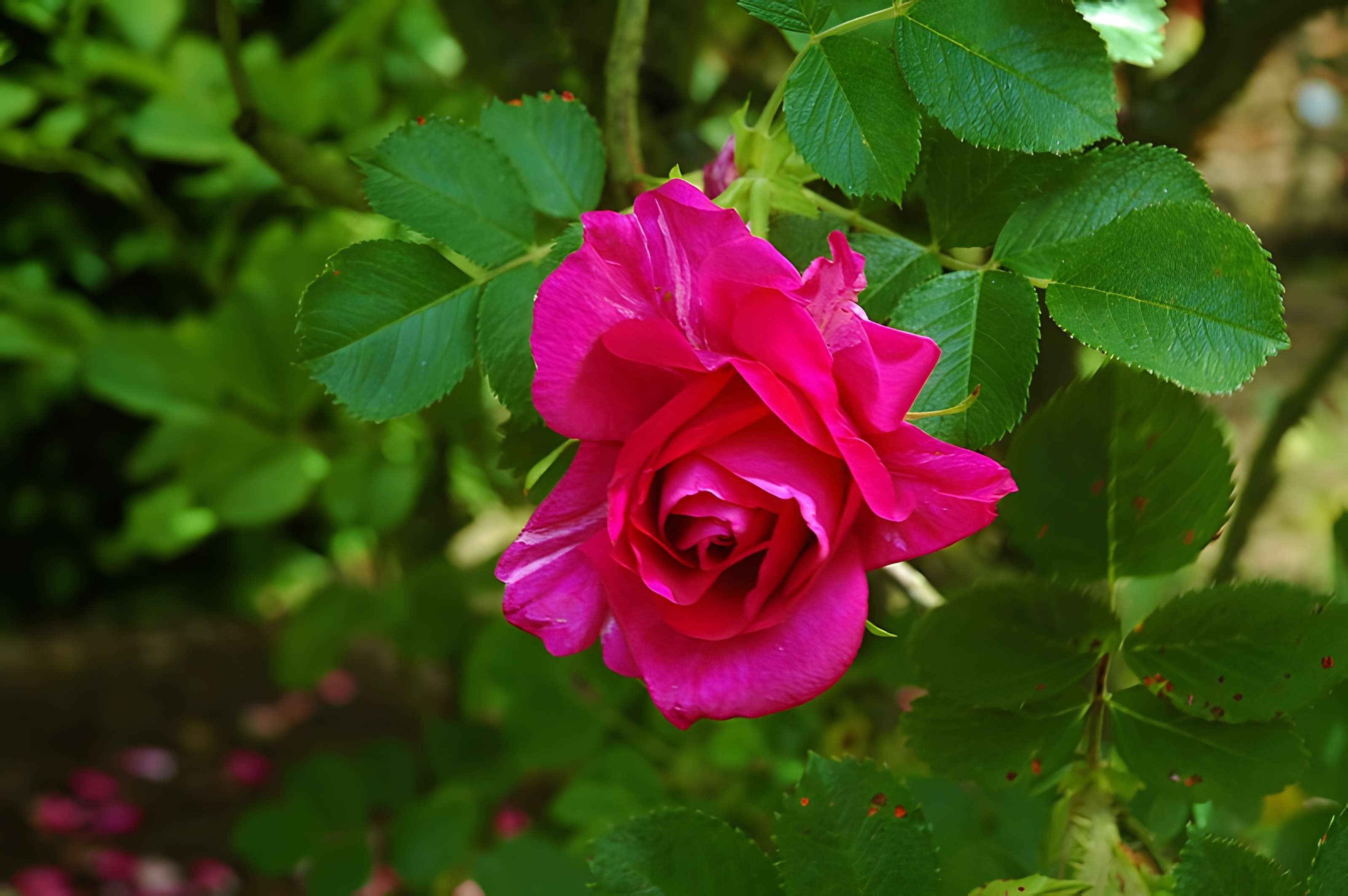 Château de Rambures