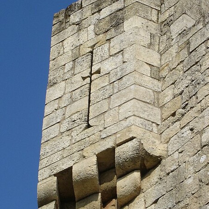 Photo de Château de Rauzan