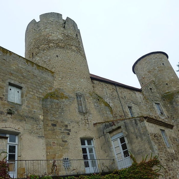 Photo de Château de Ravel