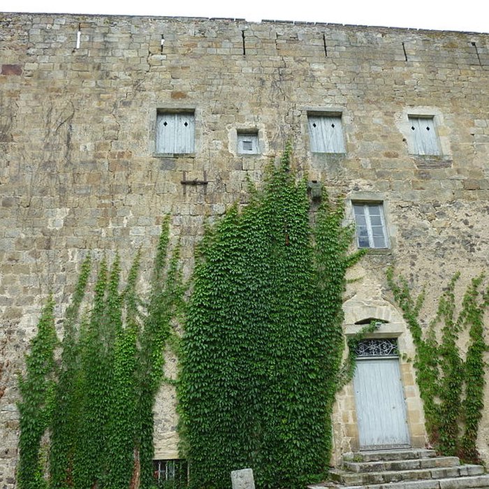 Photo de Château de Ravel