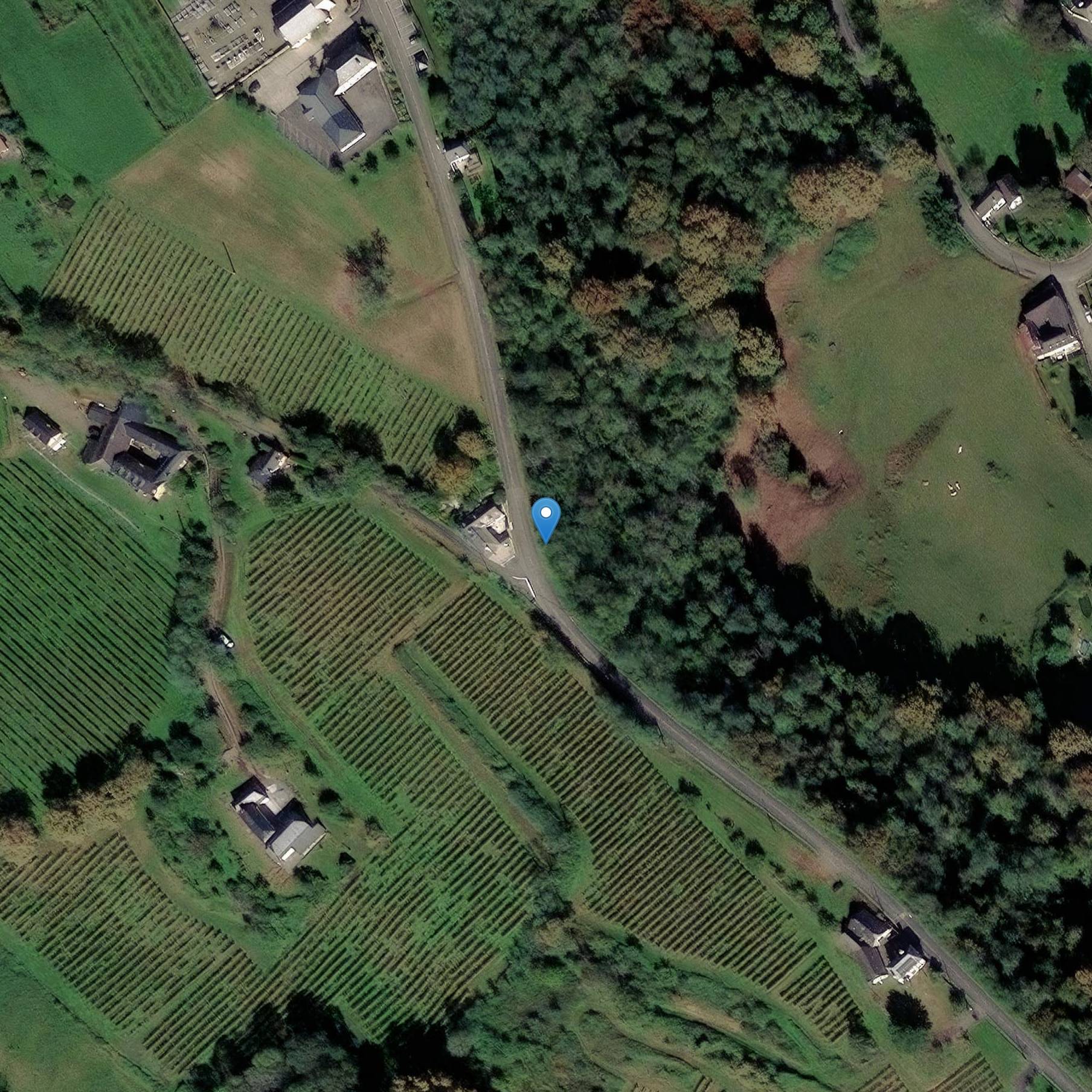 Photo de Church of Saint Michael of Cuqueron