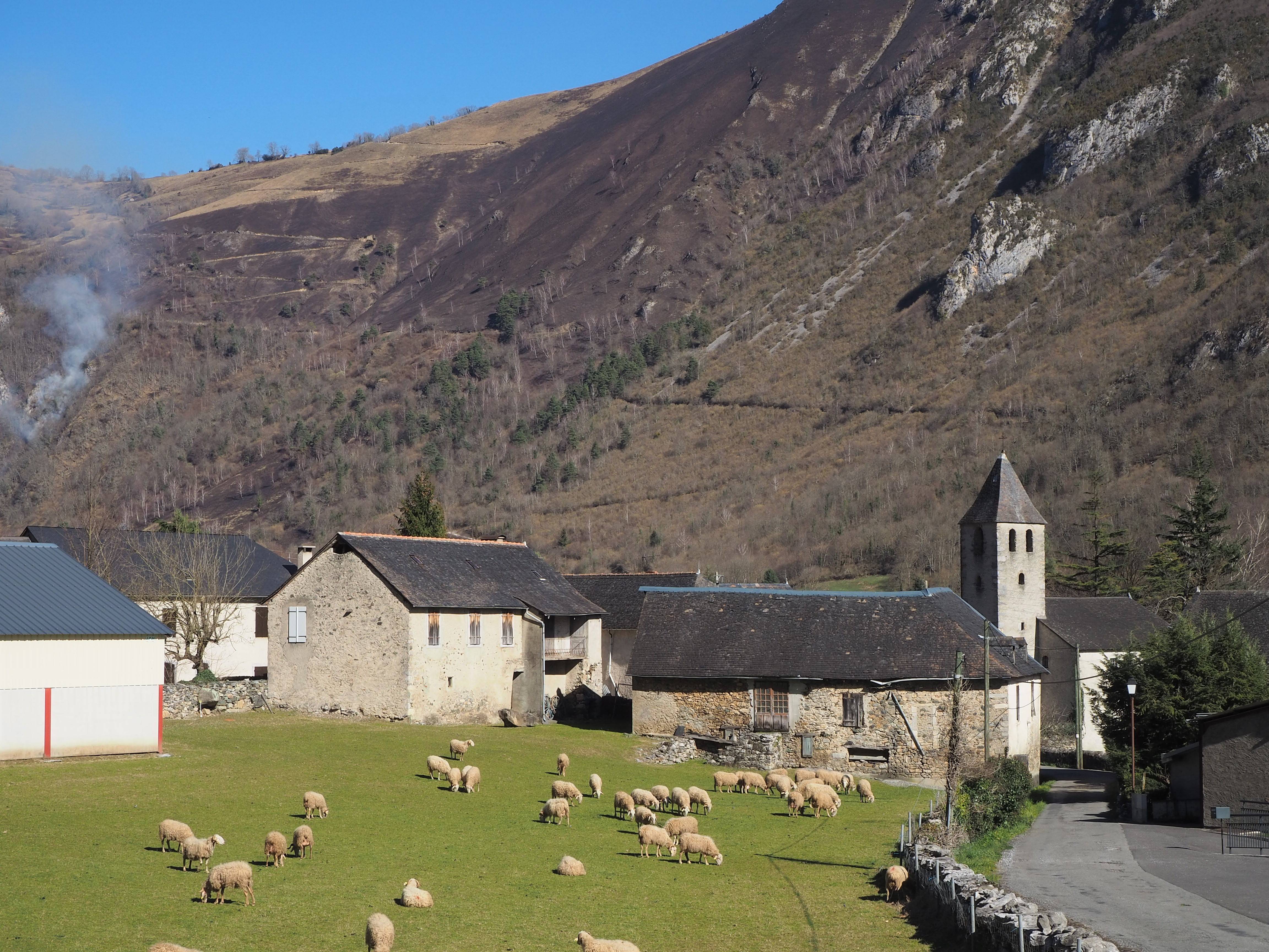 Photo de サン・ペテロ教会