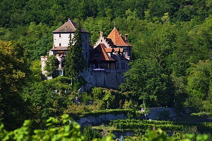 Photo de Château de Reichenberg